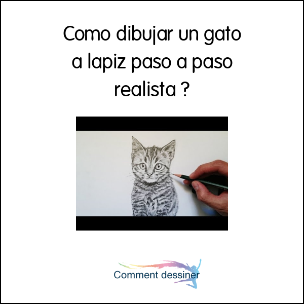 Como dibujar un gato a lapiz paso a paso realista